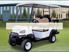 Carrinhos de golfe elétricos de 2 lugares / 2+2 lugares Bateria de chumbo-ácido / Bateria de lítio